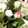 Robert & Ana Featured Wedding