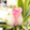 Robert & Ana Featured Wedding