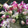 Robert & Ana Featured Wedding