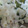 Robert & Ana Featured Wedding
