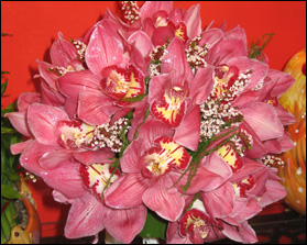 Gallery Img 0
