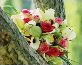 Gallery Img 0