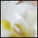 Gallery Thumb 1