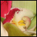 Gallery Thumb 5