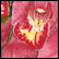 Gallery Thumb 1