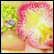 Gallery Thumb 2