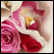 Gallery Thumb 3