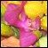 Gallery Thumb 4
